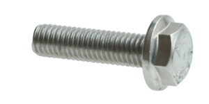 Hex Washer Bolt